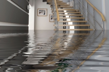 Restoring Your Home: The Importance of Professional Water Damage Cleanup body thumb image